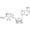  S-(5'-Adenosyl)-L-homo 