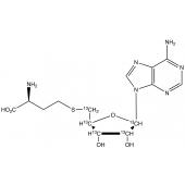  S-(5'-Adenosyl)-L-homocysteine 