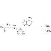  S-(5'-Adenosyl)-L-methionine 