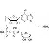  cADP-Ribose (cADPR) Ammonium 