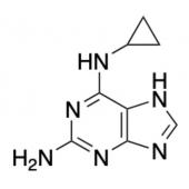  2-Amino-6-cyclopropylamino-9H- 