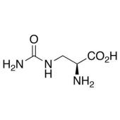  L-Albizziin 