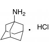  Amantadine Hydrochloride 