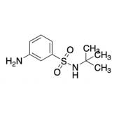  3-Amino-N-(Tertbutylbenzene 