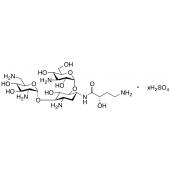  Amikacin B Sulfate 