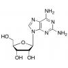  2-Amino Adenosine 