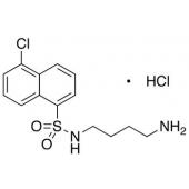  N-(4-Aminobutyl)-5-chloro-1- 