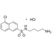  N-(4-Aminobutyl)-5-chloro-2- 