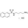  N-(4-Aminobutyl)-2-naphthalene 