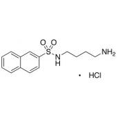  N-(4-Aminobutyl)-2-naphthalene 