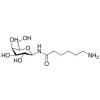  N-?-Aminocaproyl--D-galacto 