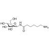  6-Amino-N--D-glucopyranosyl 