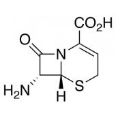  7-Amino-3-cephem-4-carboxylic 