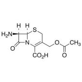  7-Aminocephalosporanic Acid 