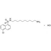  N-(10-Aminodecyl)-5-chloro-1- 