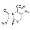  7-Aminodesacetoxycephalospo 