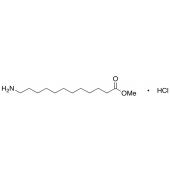  12-Amino-1-dodecanoic Acid 