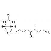  N-(2-Aminoethyl)biotinamide 