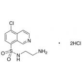  N-(2-Aminoethyl)-5-chloroiso 