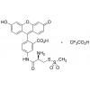  (R)-2-Amino-2-[(5-fluorescein 