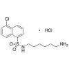  N-(6-Aminohexyl)-5-chloro-1- 