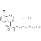  N-(6-Aminohexyl)-5-chloro-1- 