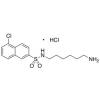  N-(6-Aminohexyl)-5-chloro-2- 