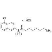  N-(6-Aminohexyl)-5-chloro-2- 