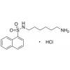  N-(6-Aminohexyl)-1-naphthalene 