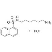  N-(6-Aminohexyl)-1-naphthalene 