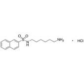  N-(6-Aminohexyl)-2-naphthalene 