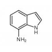  7-Aminoindole 