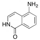  5-Amino-2H-isoquinolin-1-one 