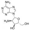  2'-Amino-2'-deoxyadenosine 