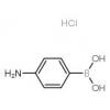  4-Aminophenylboronic Acid 