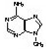  6-Amino-9-methylpurine(9- 