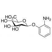  2-Aminophenyl -D-Glucuronide 