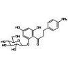  4-Aminophlorizin 