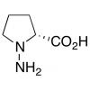  N-Amino-D-proline 