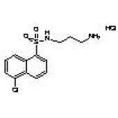  N-(3-Aminopropyl)-5-chloro-1- 