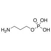  3-Aminopropyl Monophosphate 