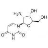  2'-Amino-2'-deoxyuridine 