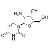  2'-Amino-2'-deoxyuridine 