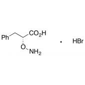  D-a-Aminoxy--phenylpropionic 