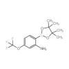  2-Amino-4-trifluoromethoxy 