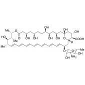  Amphotericin B (85%) 