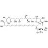  Amphotericin B Methyl Ester 