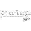  Amphotericin B Methyl 