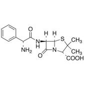  Ampicillin 