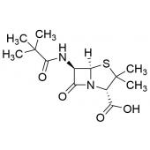  Ampicillin t-Butyl-demethyl 